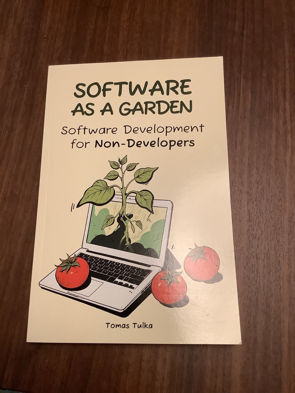 Software as a Garden: Software Development for Non-Developers Book Tomas Tulka